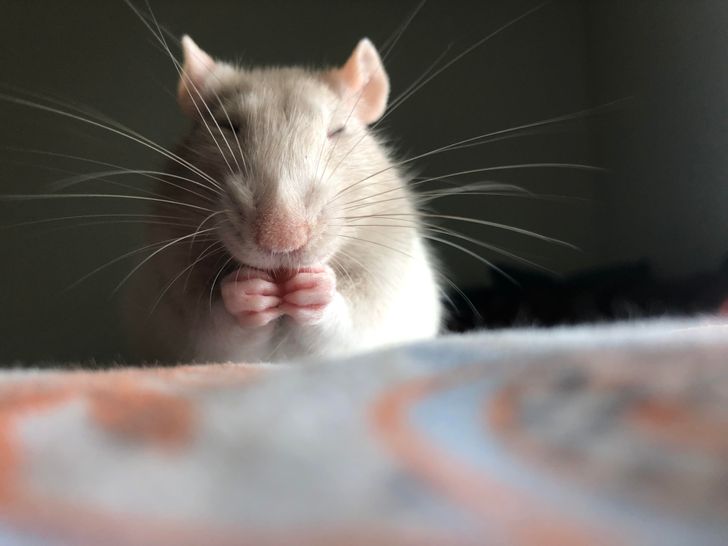 b096ea5a31b29dfcf024ead95c