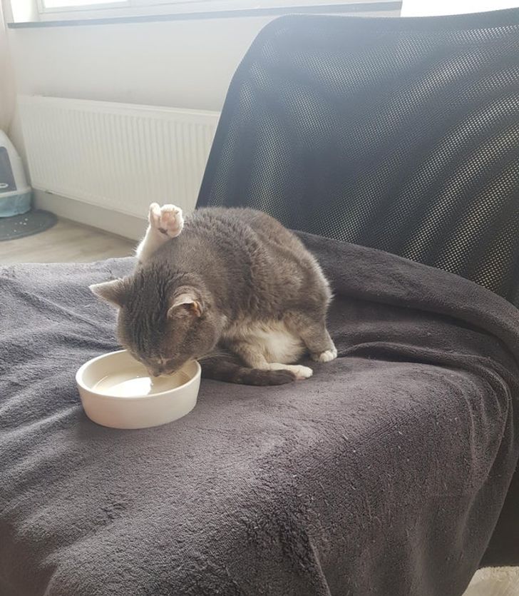 b0a3ec58879269dae6673dc52d