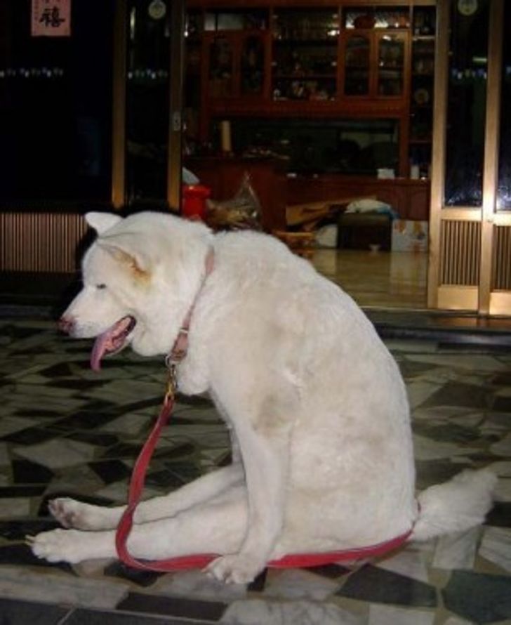 b0a6115bd797b9af52e139831a