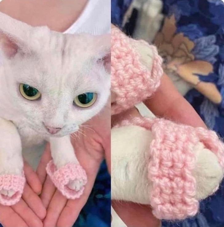 b0aad35c759bbb60f94b661e18