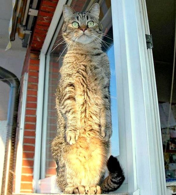 b0b02e561fa4ce09a18d809c86