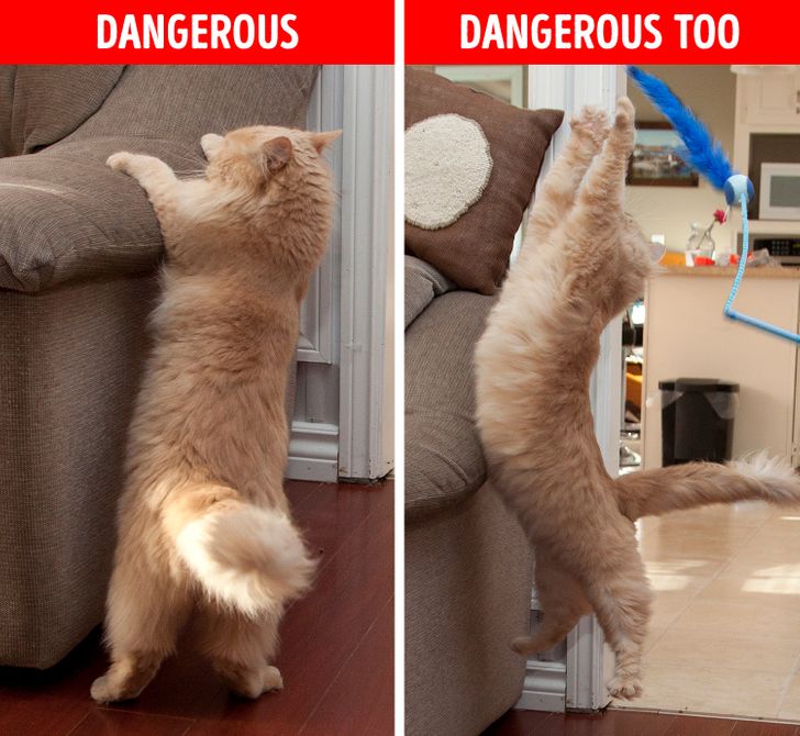 b0b08a557e83e893fa0fcda1d4