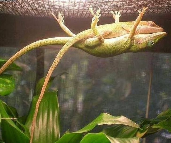 b0b65a57c099755e68a9be0620