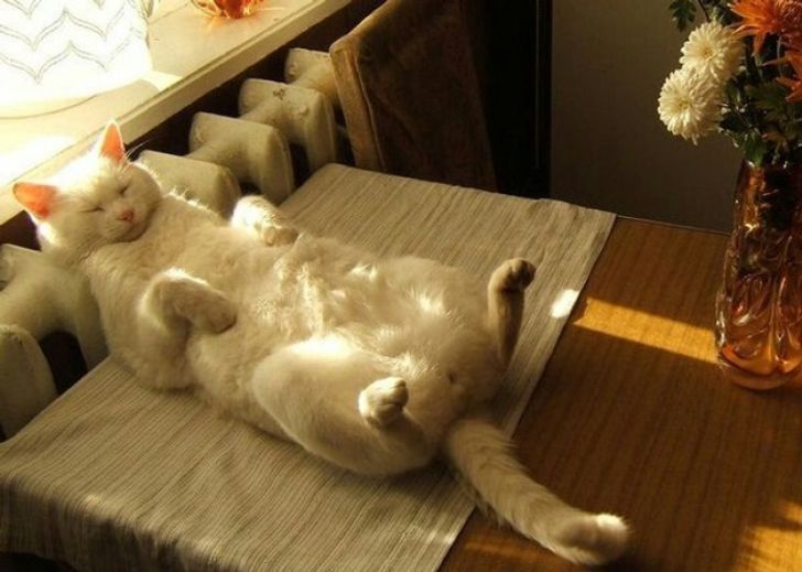 b0cbc95d18817db45163e14435