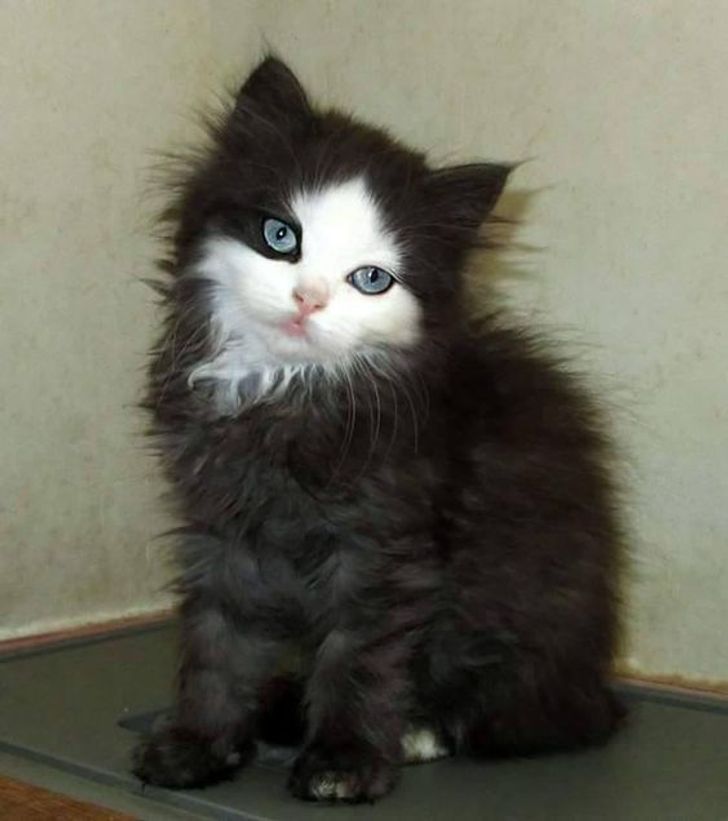 b0ced85d3ba46ad67e1d2c1751