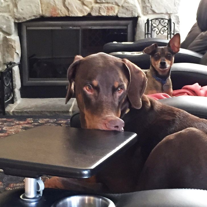 b0cf8a50eebac535e6507cdd76