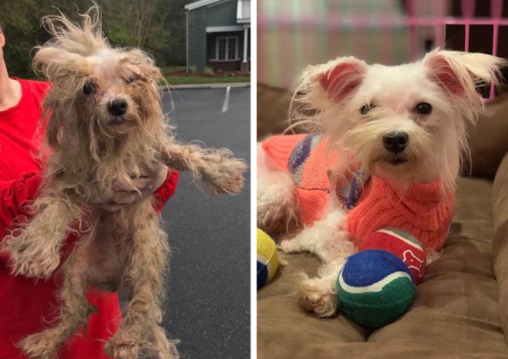 b0d5c0511dba81b113eb62fd1a