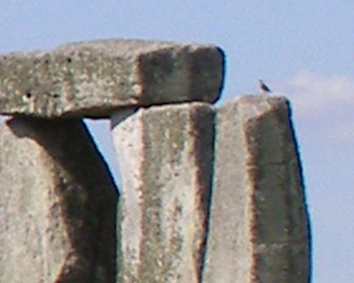 b0e5855b1b88deb4d5bbba750a