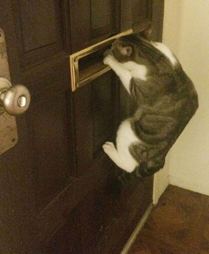 b0e6255d2d99771439cd139f17