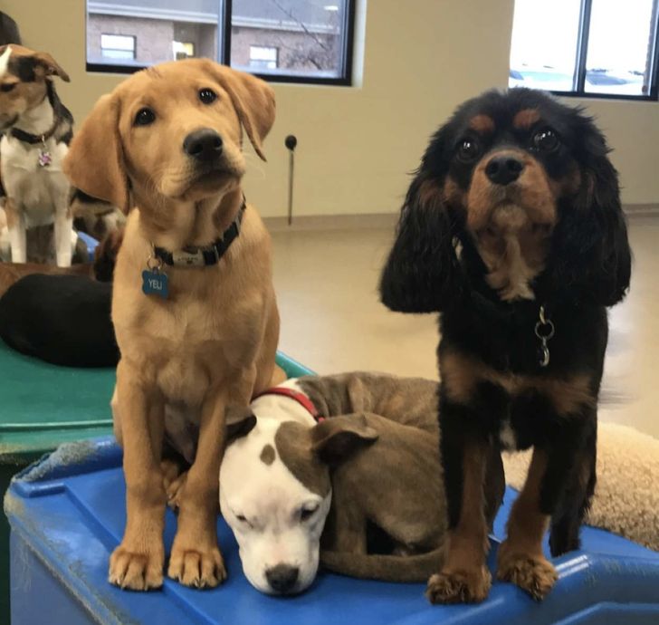 b0e6a95474a5fefefd54aec135