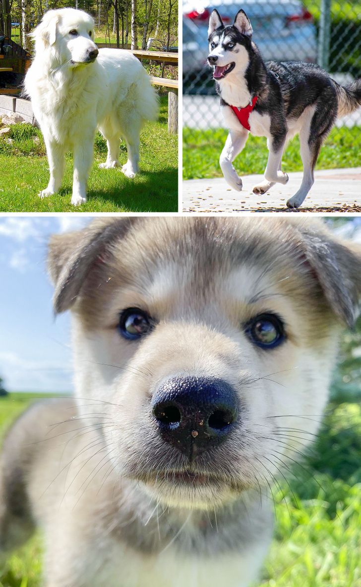 b0e846526e8651f0232576aeb0