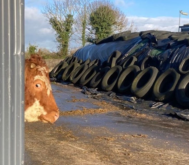 b0eba65d5495530e0d0fb6bc65