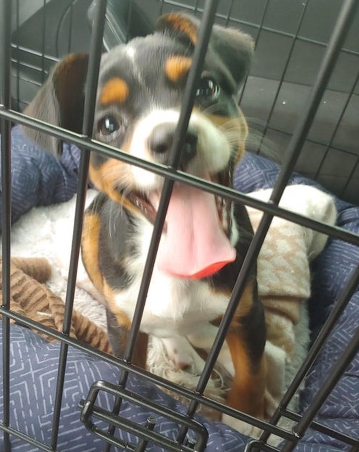 b0ecb452c883705ae15b746ead