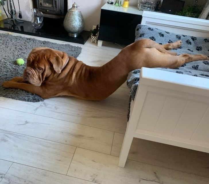 b0f1a25287a122f2e00ef52bb7