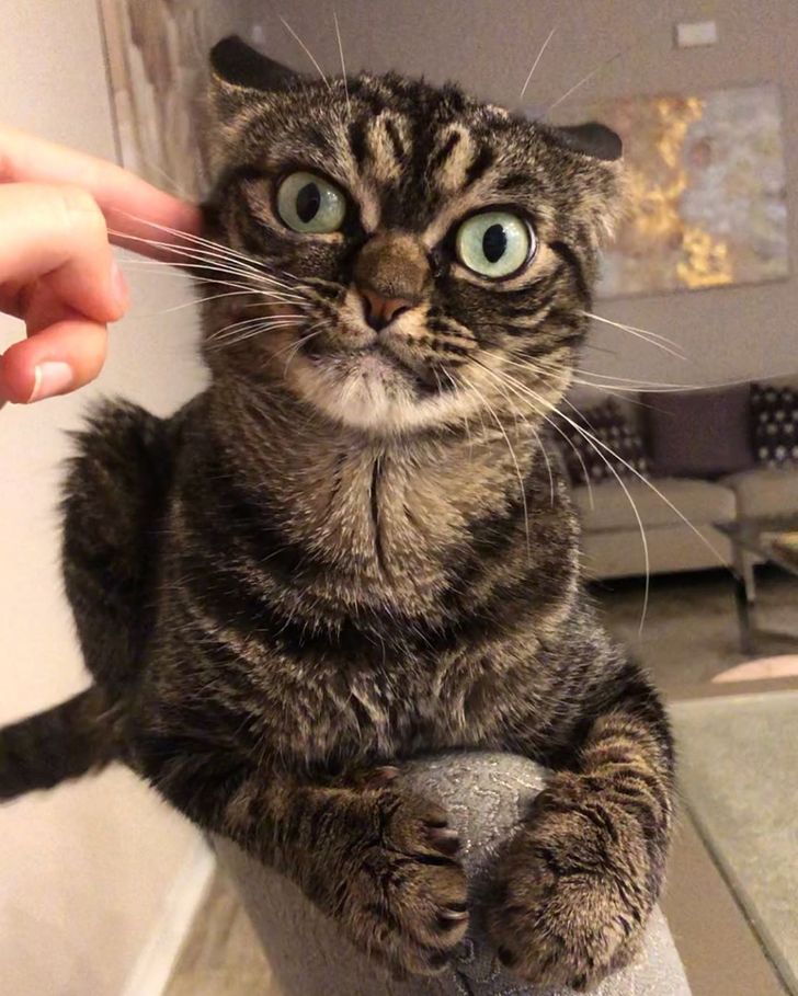 b0fbd856dba76e8c024d7e2b71