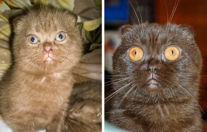 b0ff575d9ca54dbe04759a05d5