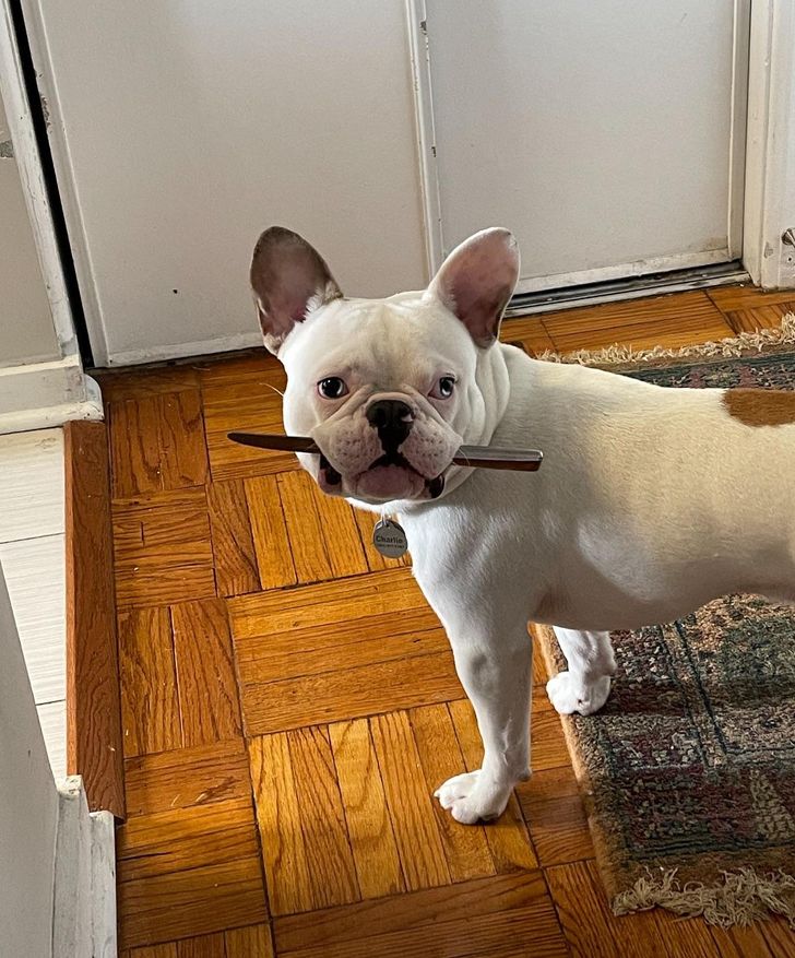 b102fe5cebb3eeb0ff21f4fd44 b102fe5cebb3eeb0ff21f4fd44