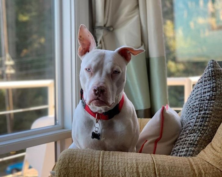 b1094a5ab283334c02ab85cd22 b1094a5ab283334c02ab85cd22