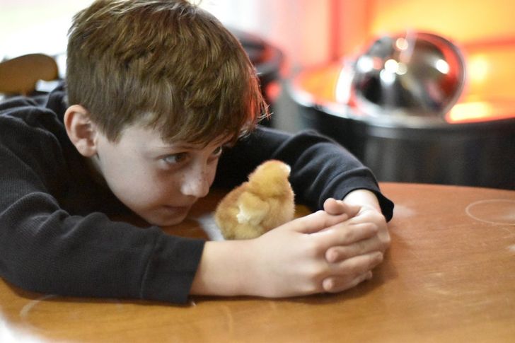 b10e9459899ae063eb52b78995