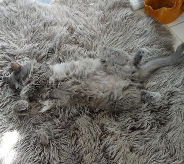 b118f352db8857145bdaebcb56