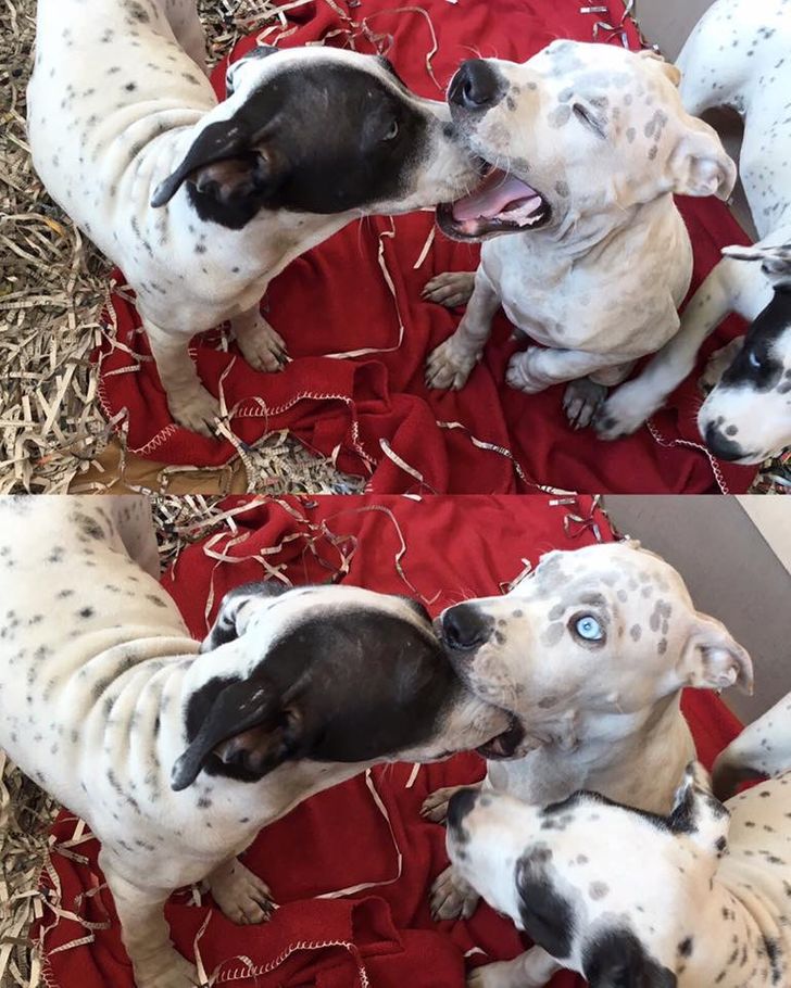 b1276956dfbe56e94be4182f67