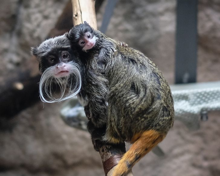 b1392f5198b14d281568a746e9