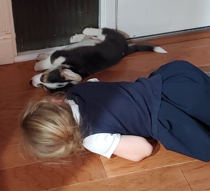 b141a35181bd91b58d28a45446 b141a35181bd91b58d28a45446