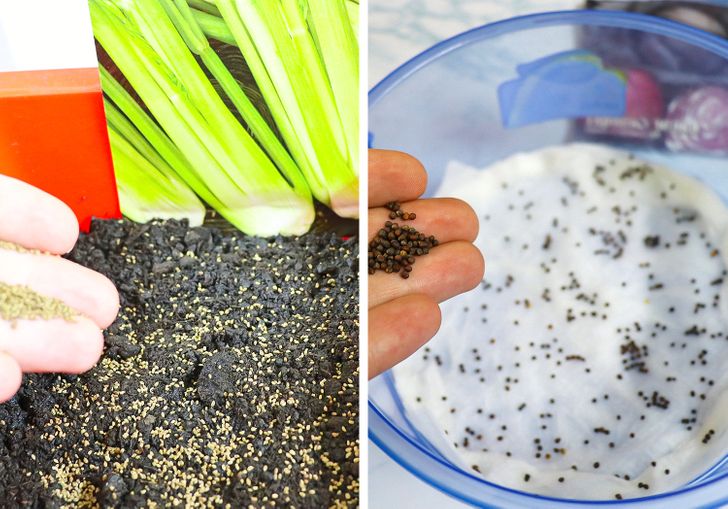 b141b3515bb544ba2dd4453219