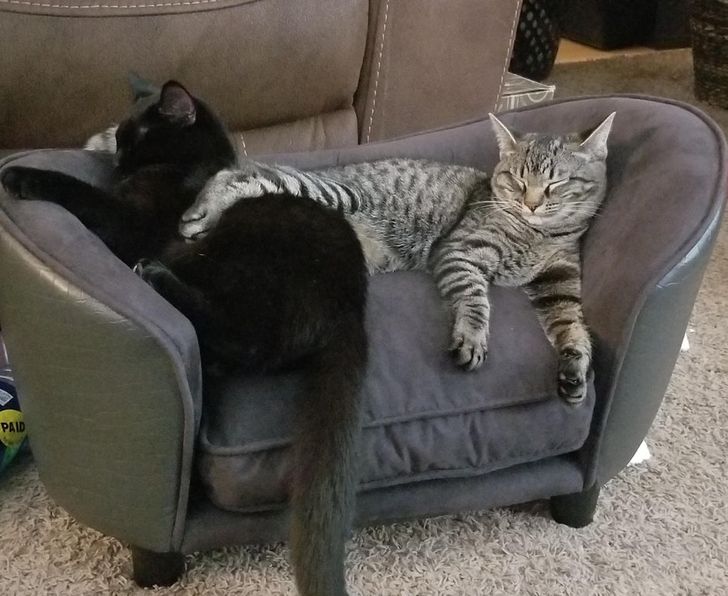 b143405211a6ca40d1c8696a9e