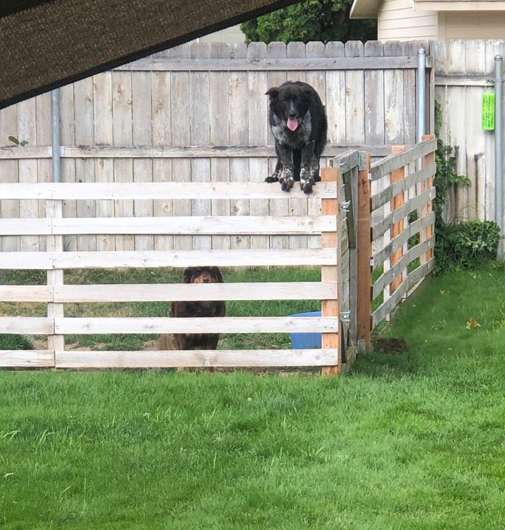 b1446759b98607dcb715429414 b1446759b98607dcb715429414