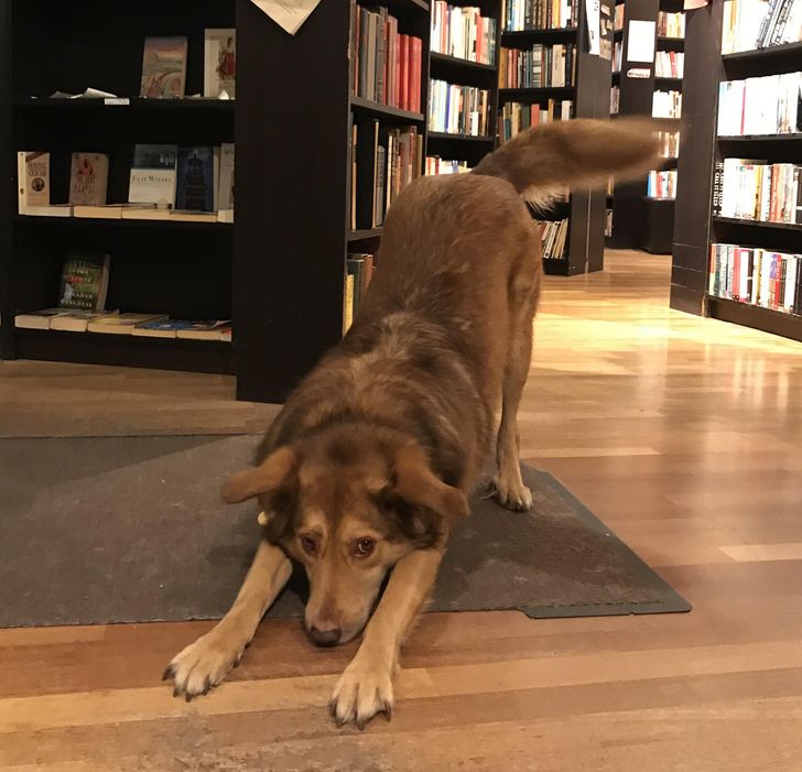 b145a35180ad6805c2a453a004