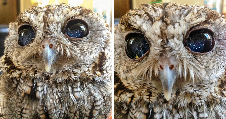 b146a854bc88183e8ae9877300