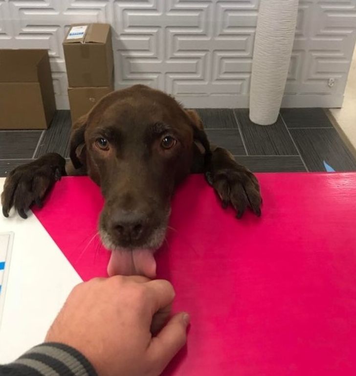 b14d995feaa3fc268c232f085b