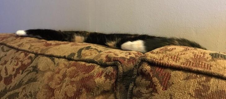 b15a3658af8eaae4724bcea1a2