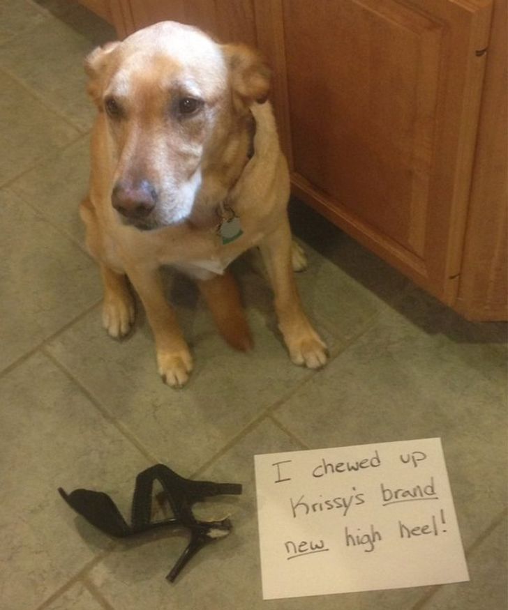 b15ff35bbcbb791d23c82682b1