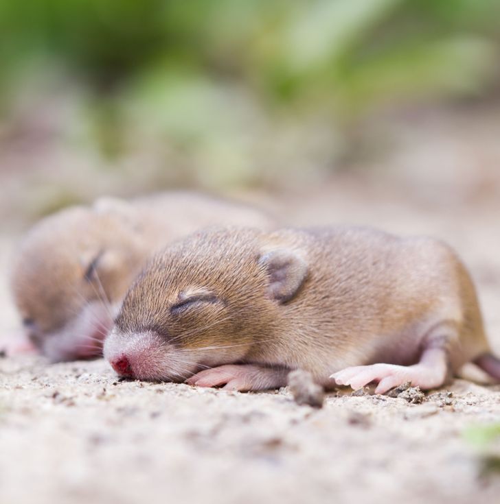 b174335ca3a50f66015e5aeb25