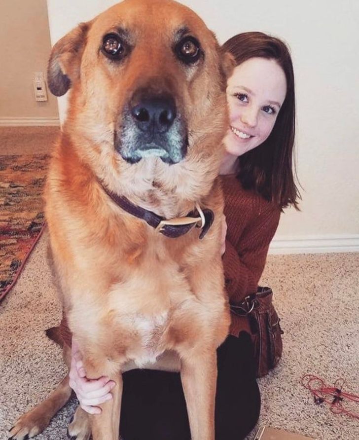 b178285a99b206c074c646d589