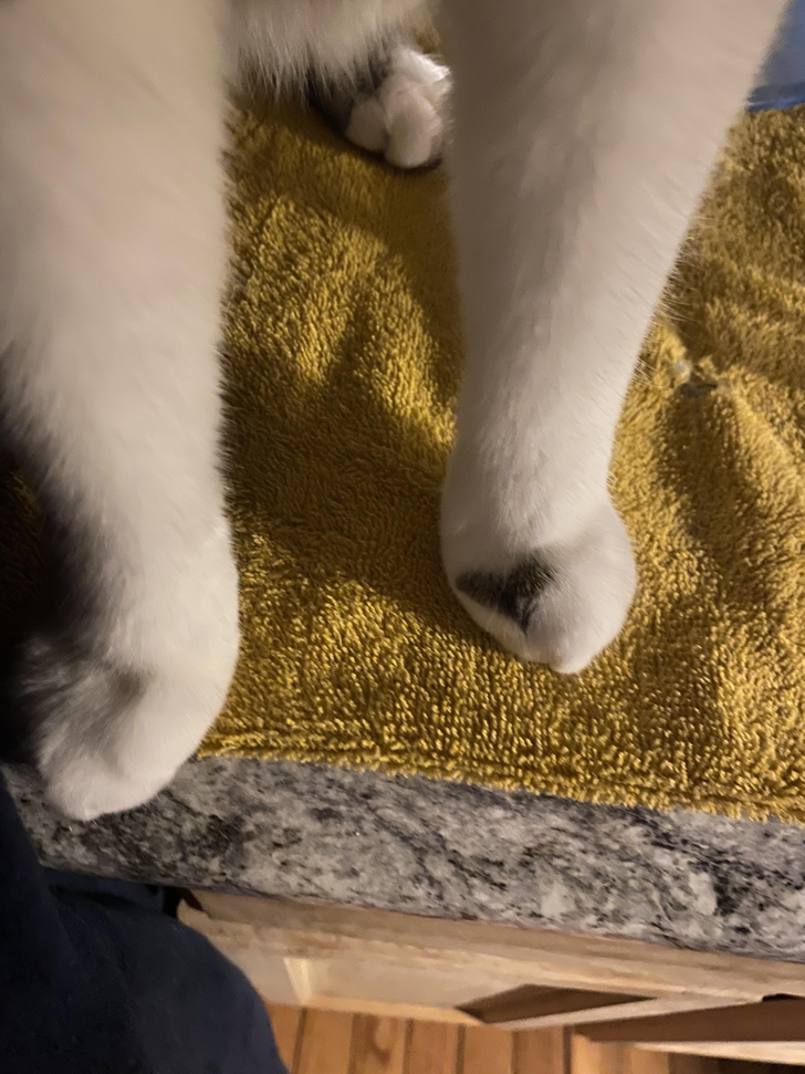 b1788e515a9f606f73089b162a