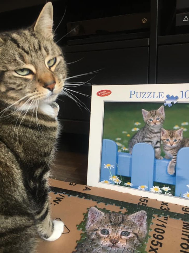 b179a352aeb8b24383b192d536