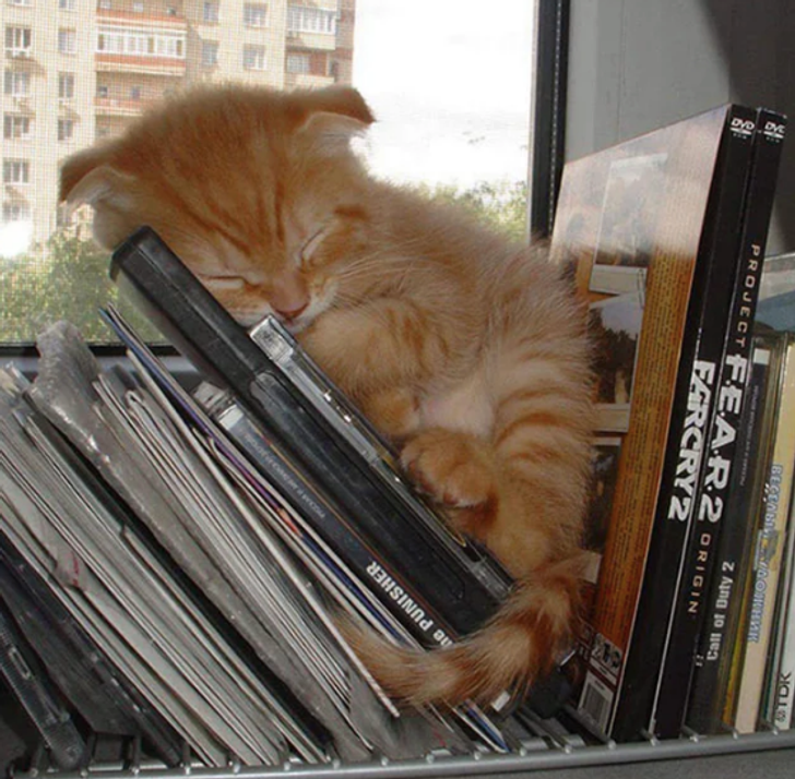 b179a555b69c15db1af7554952