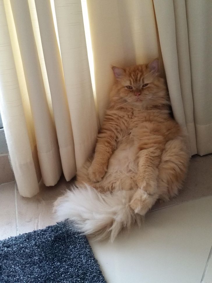 b17a295437a5bfa28d42c9d3da