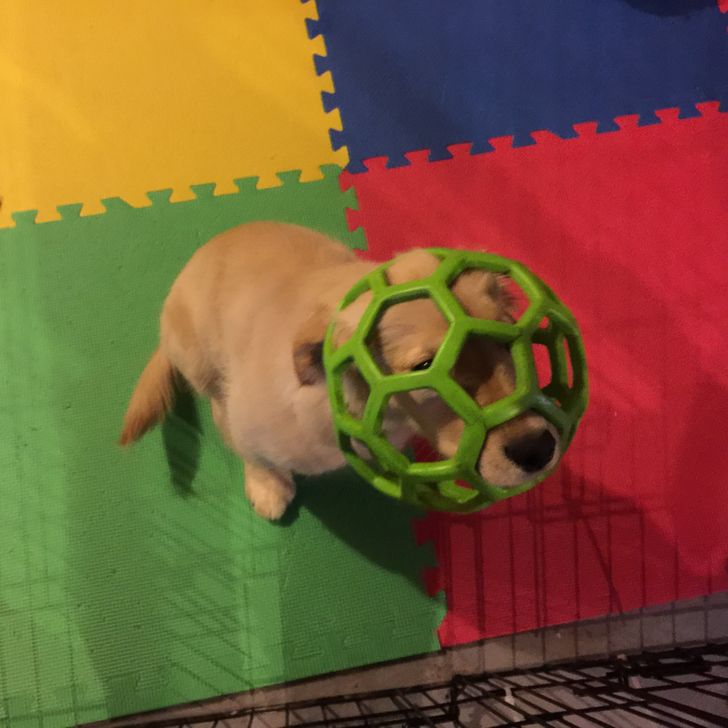 b17c9656f9ac0e99ba2867018a