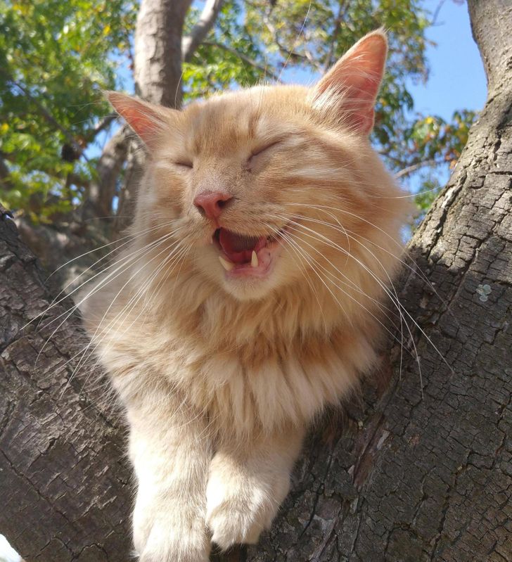 b181145191804984ace7df307e