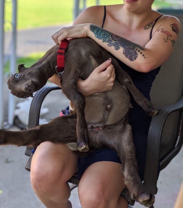 b1954a51d3a4a31b25113dc694