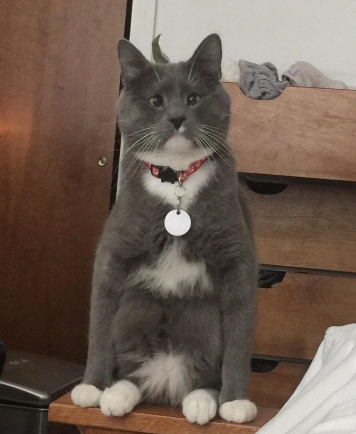 b199fb5df8bd2a218fce5a9630