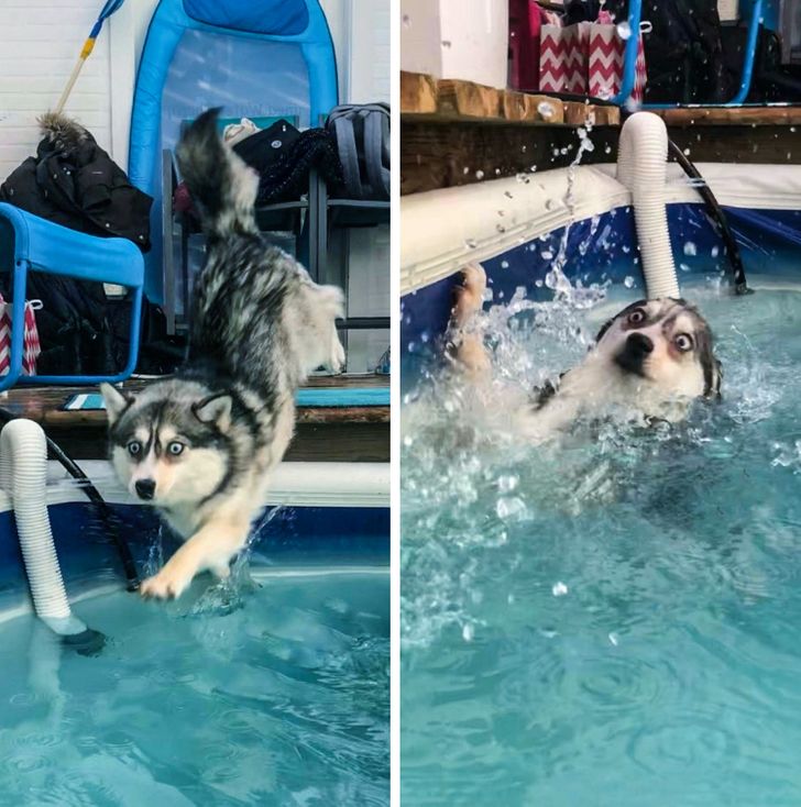 b19c075fe7a99757cb520c91ca