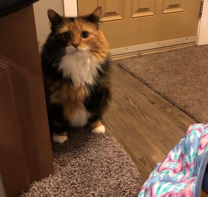 b1a36b503095a2d3d1deac1f6c