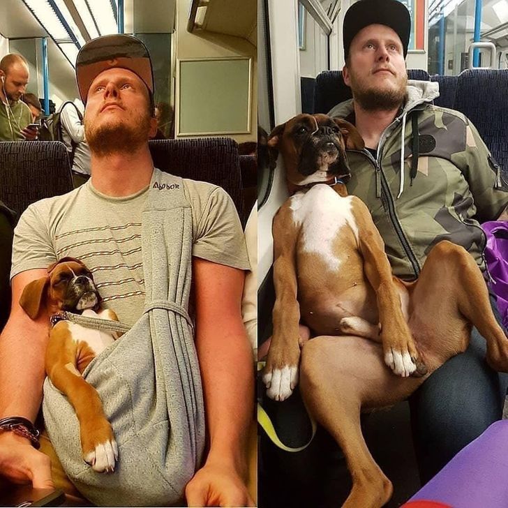 b1ac2c5bee911550fbef3235e5