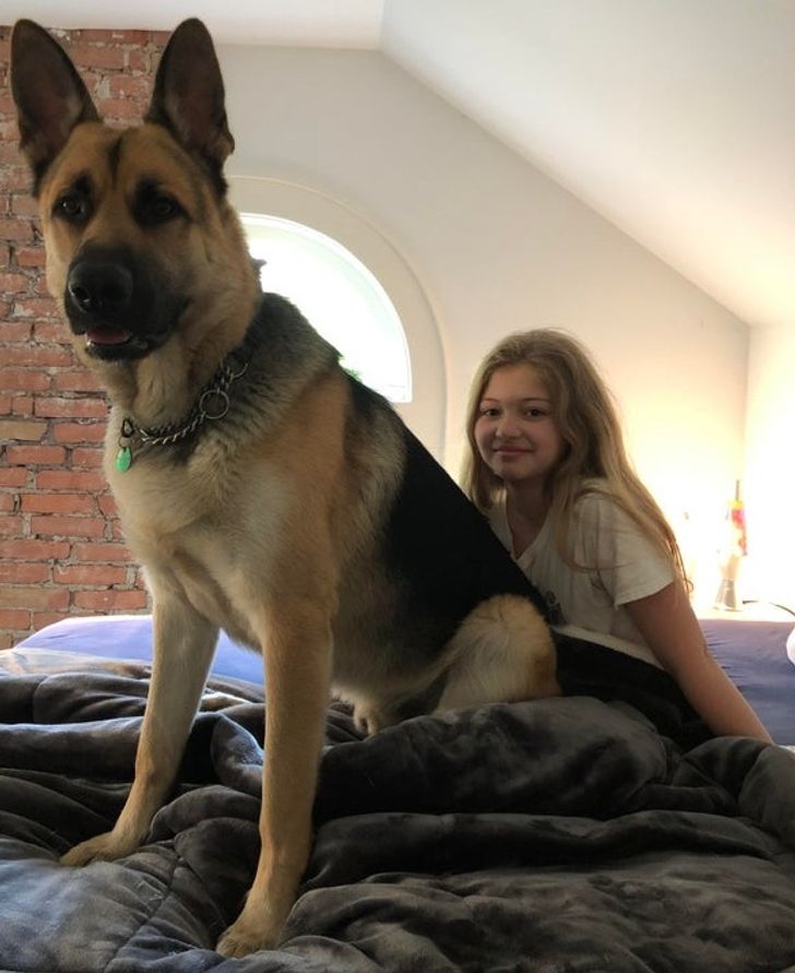 b1b0ba5a7285569ee3f4d98fa7