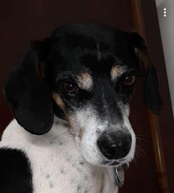 b1b4c451c69d9ae90622d6bf1e